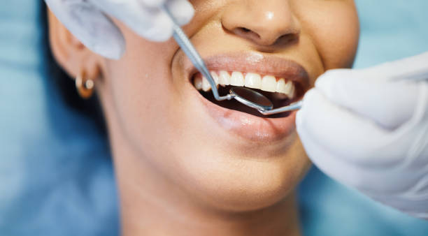 Best Emergency X-Rays and Diagnostics in Burnt Mills, MD